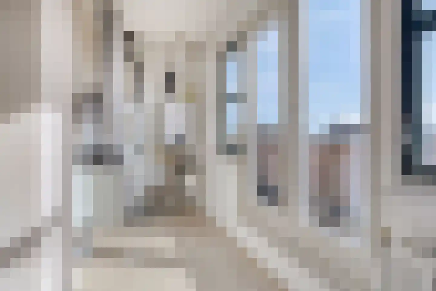 Hulsthage 7 Assen thumbnail 34