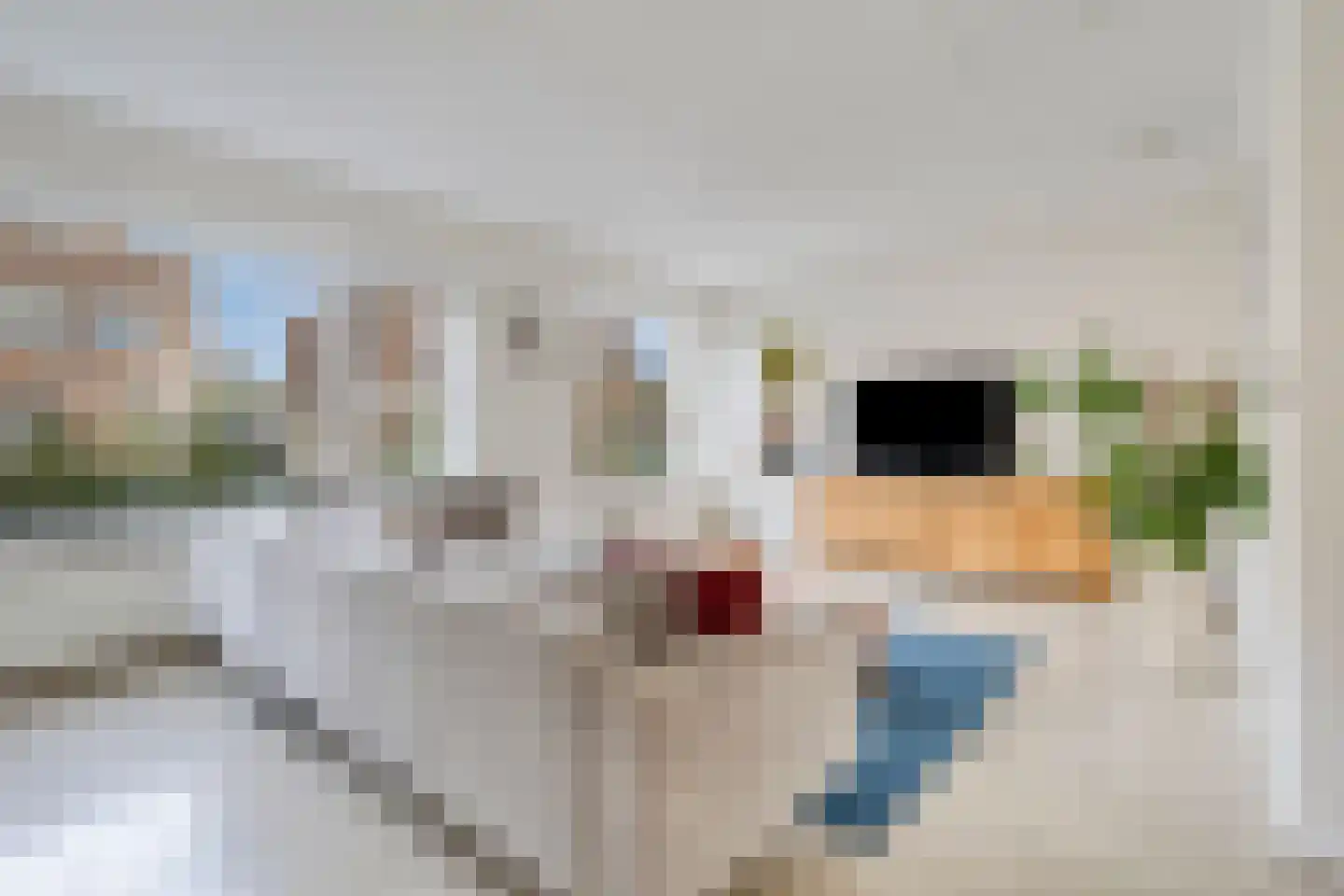 Hulsthage 7 Assen thumbnail 5