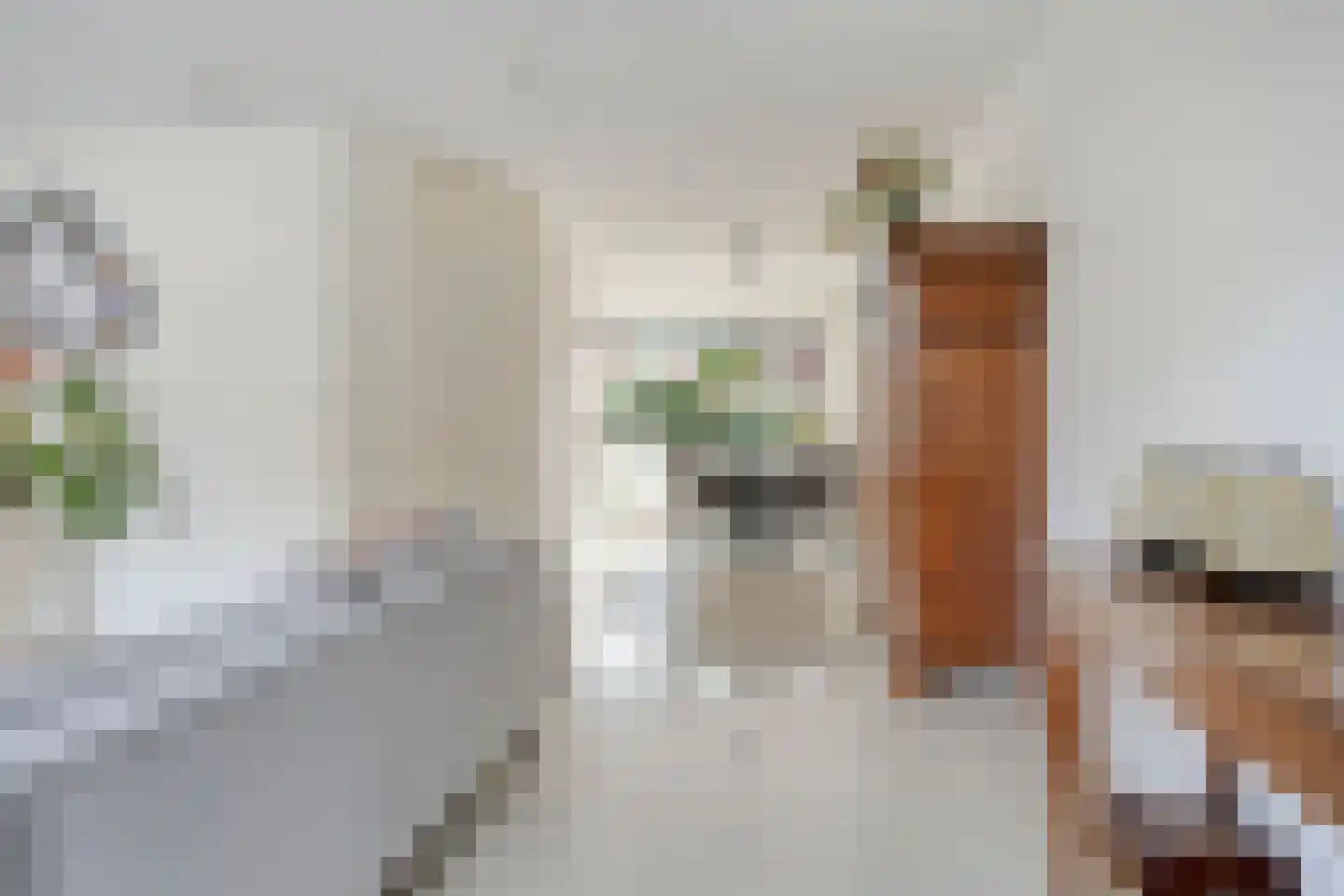 Hulsthage 7 Assen thumbnail 8