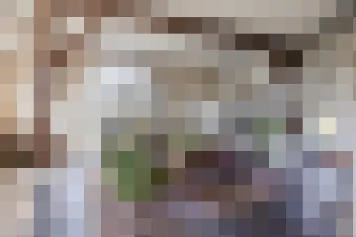 Hulstheuvel 6 Uden thumbnail 10