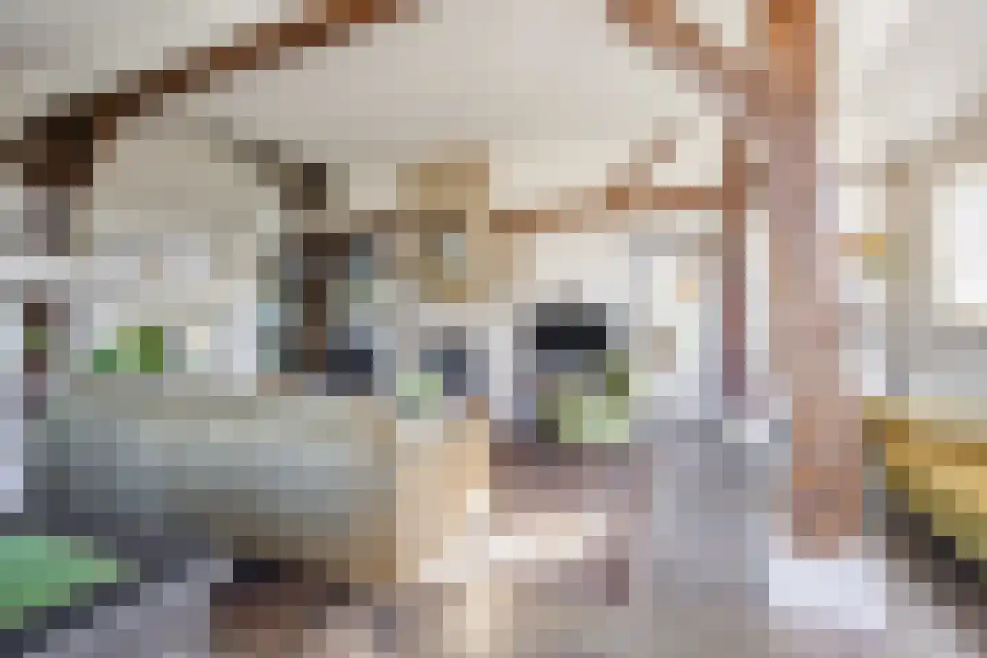 Hulstheuvel 6 Uden thumbnail 12