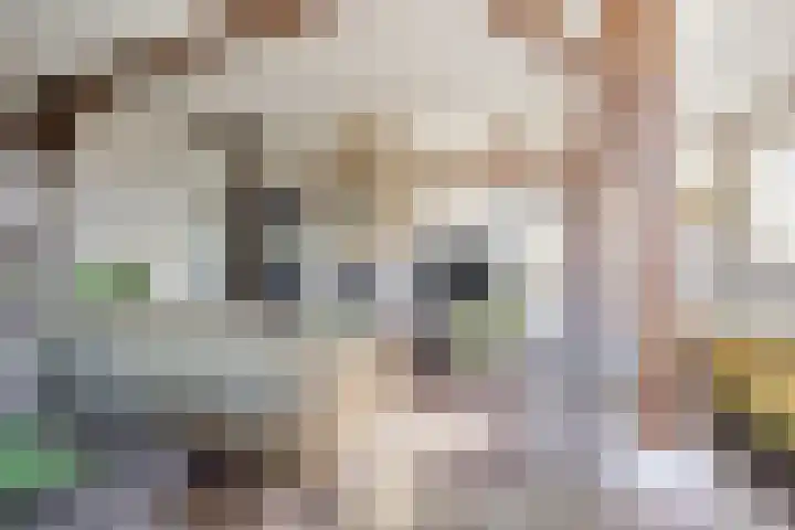 Hulstheuvel 6 Uden thumbnail 12