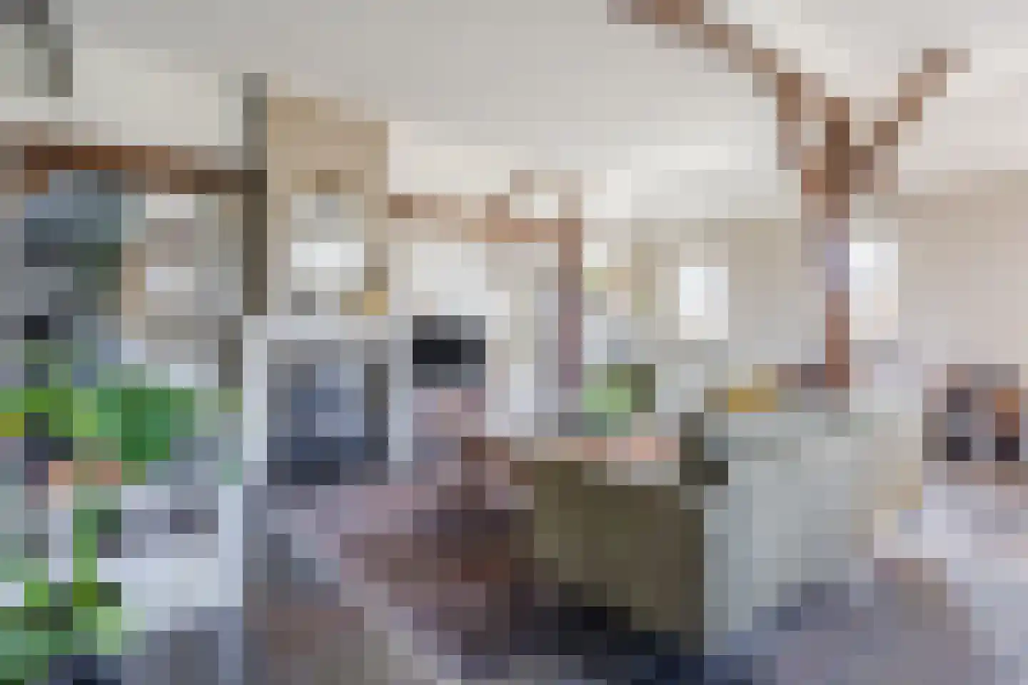 Hulstheuvel 6 Uden thumbnail 13