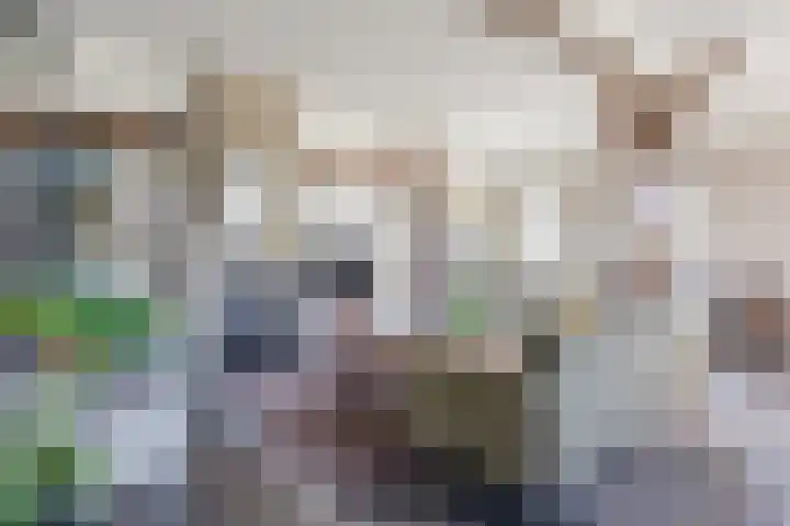 Hulstheuvel 6 Uden thumbnail 13
