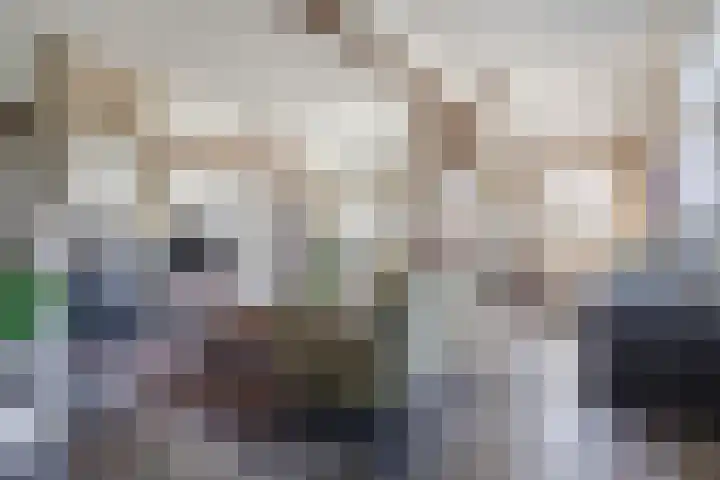 Hulstheuvel 6 Uden thumbnail 14