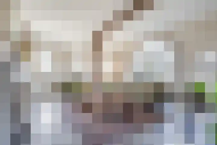 Hulstheuvel 6 Uden thumbnail 15