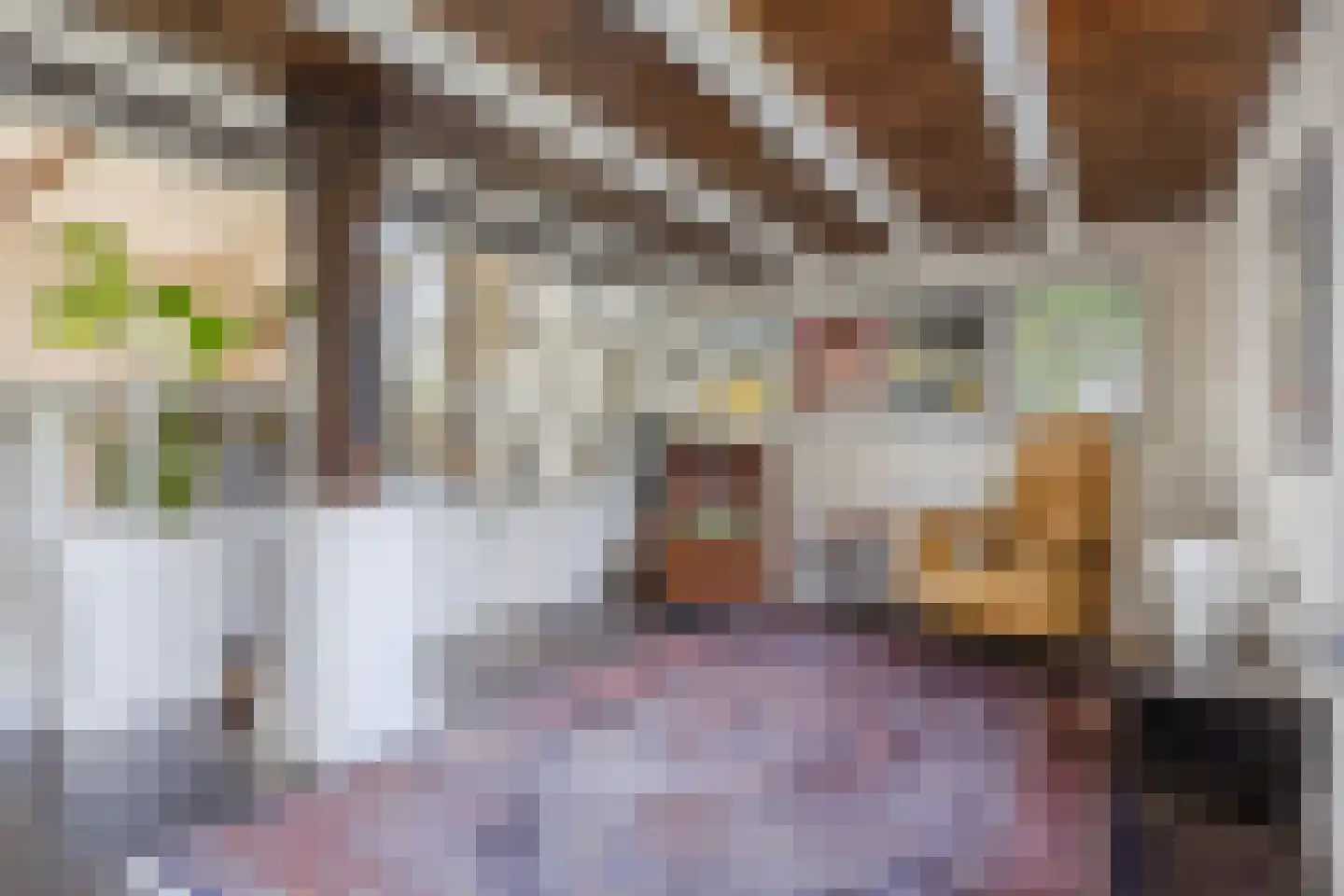 Hulstheuvel 6 Uden thumbnail 19