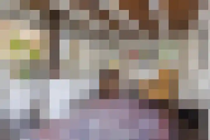 Hulstheuvel 6 Uden thumbnail 19