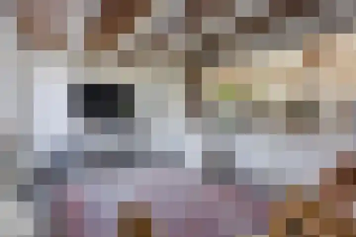 Hulstheuvel 6 Uden thumbnail 21