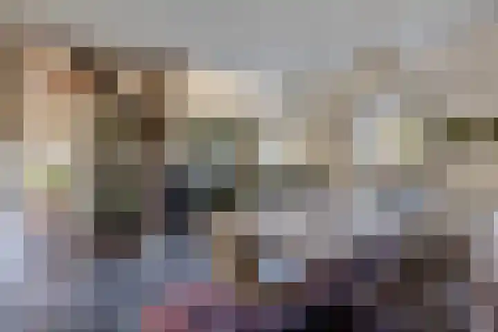 Hulstheuvel 6 Uden thumbnail 23