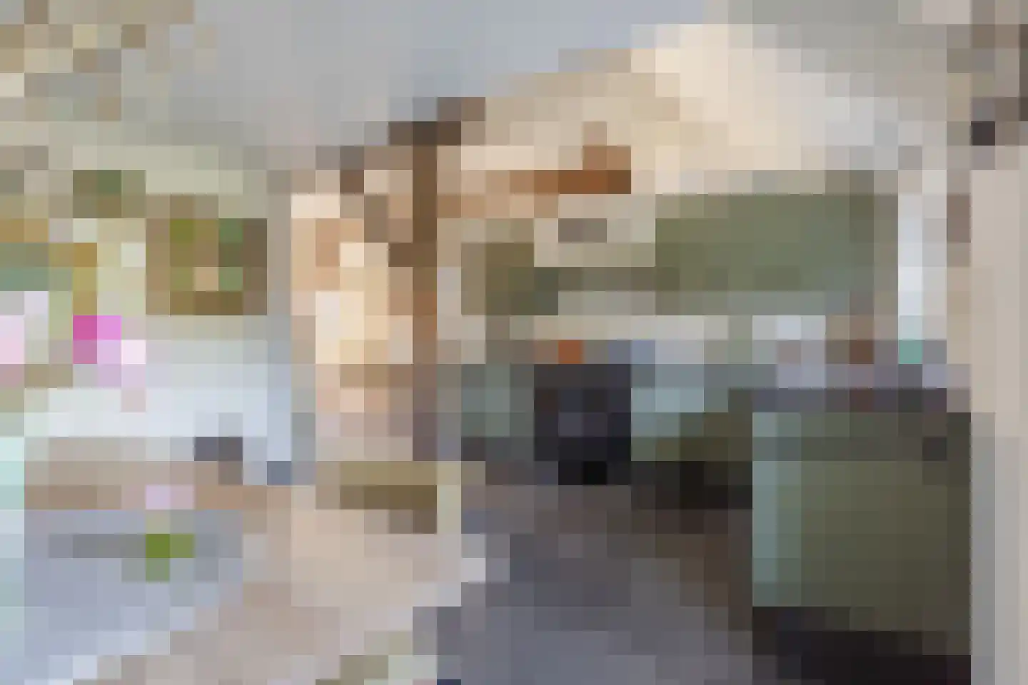Hulstheuvel 6 Uden thumbnail 24