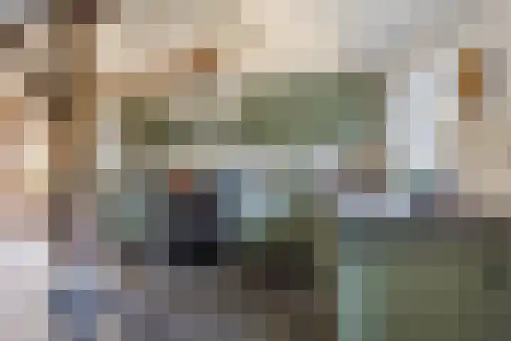 Hulstheuvel 6 Uden thumbnail 25