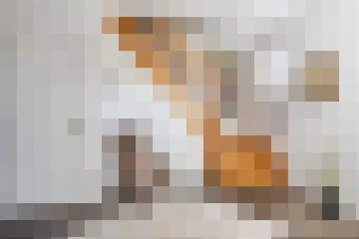 Hulstheuvel 6 Uden thumbnail 27