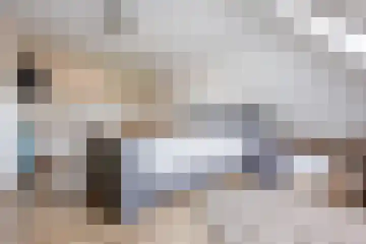 Hulstheuvel 6 Uden thumbnail 30