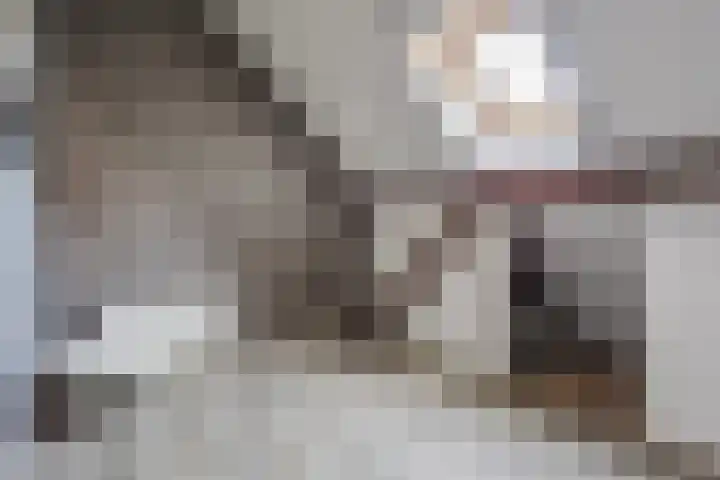 Hulstheuvel 6 Uden thumbnail 33