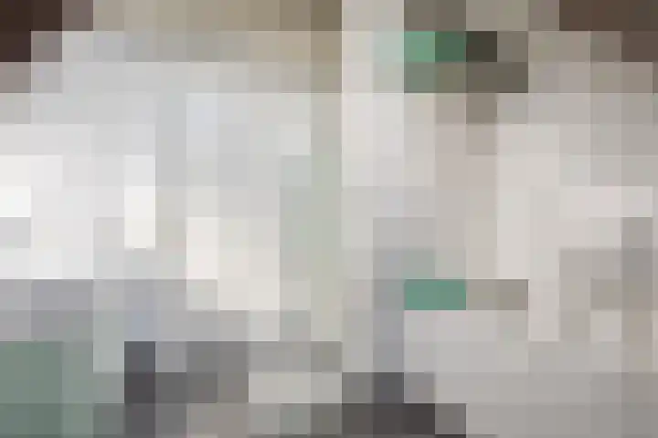 Hulstheuvel 6 Uden thumbnail 35