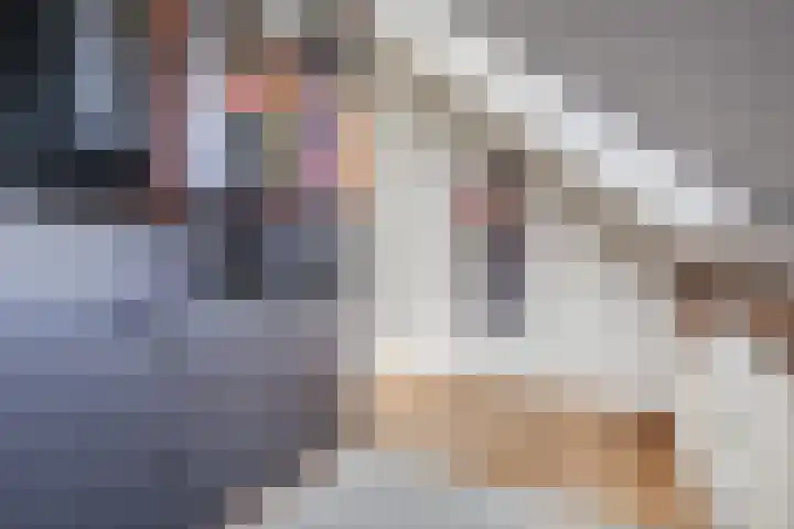 Hulstheuvel 6 Uden thumbnail 37