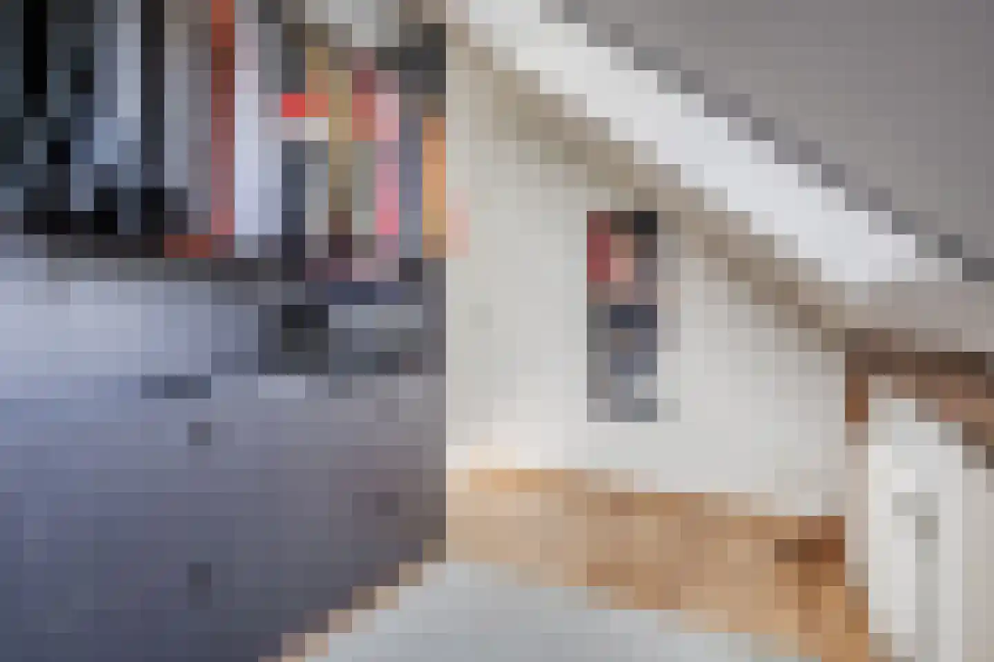 Hulstheuvel 6 Uden thumbnail 37