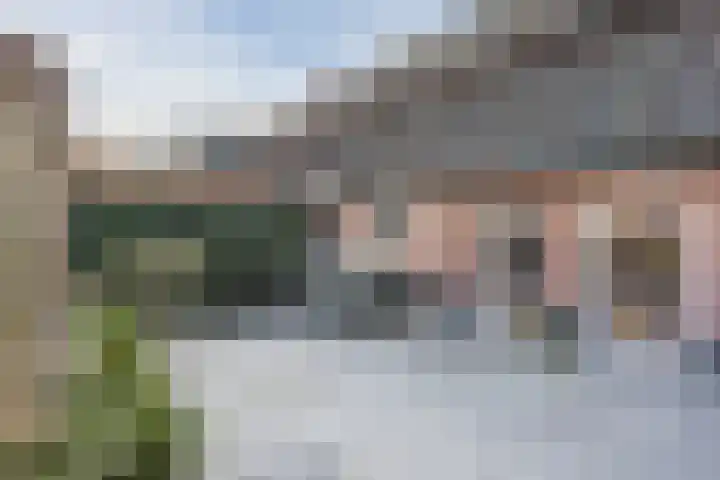 Hulstheuvel 6 Uden thumbnail 40