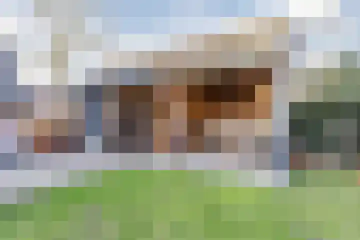 Hulstheuvel 6 Uden thumbnail 41