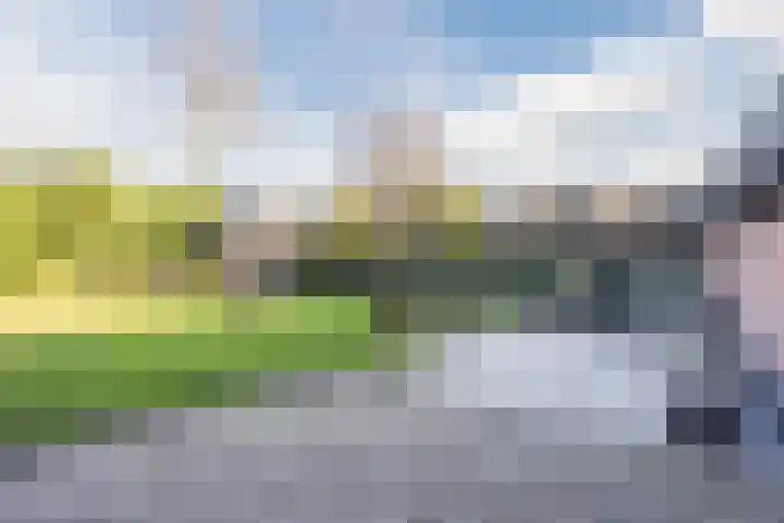 Hulstheuvel 6 Uden thumbnail 44