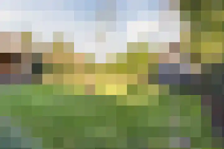 Hulstheuvel 6 Uden thumbnail 45
