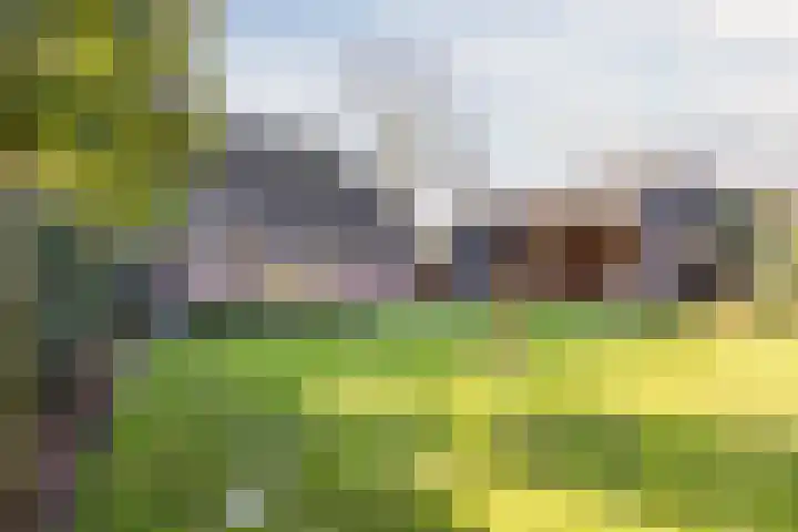 Hulstheuvel 6 Uden thumbnail 46