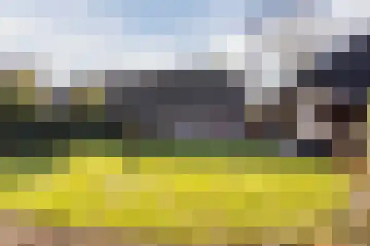 Hulstheuvel 6 Uden thumbnail 47
