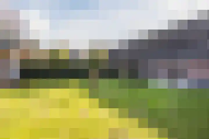 Hulstheuvel 6 Uden thumbnail 48