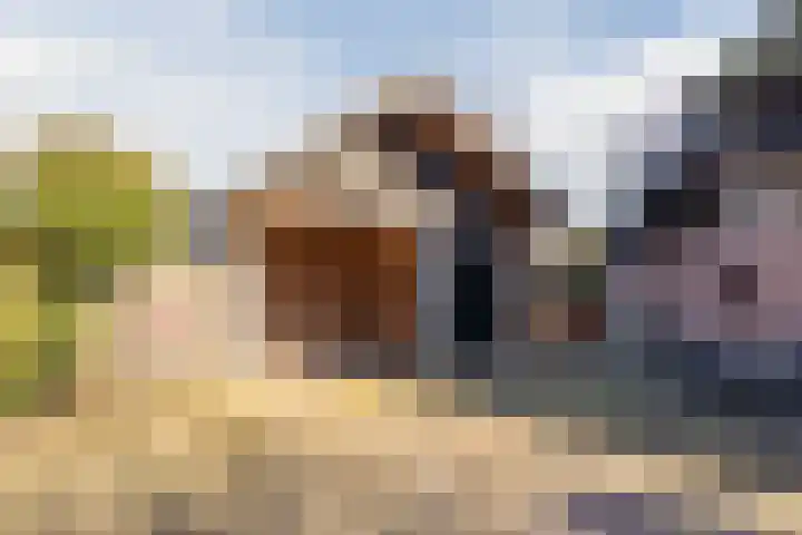 Hulstheuvel 6 Uden thumbnail 49