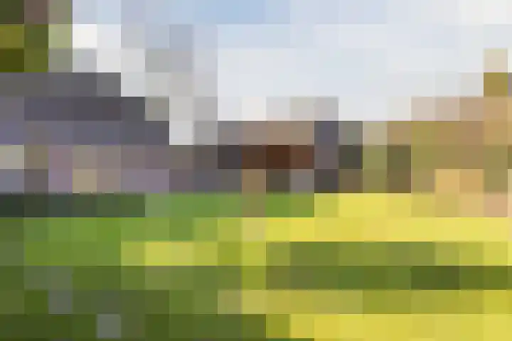 Hulstheuvel 6 Uden thumbnail 5