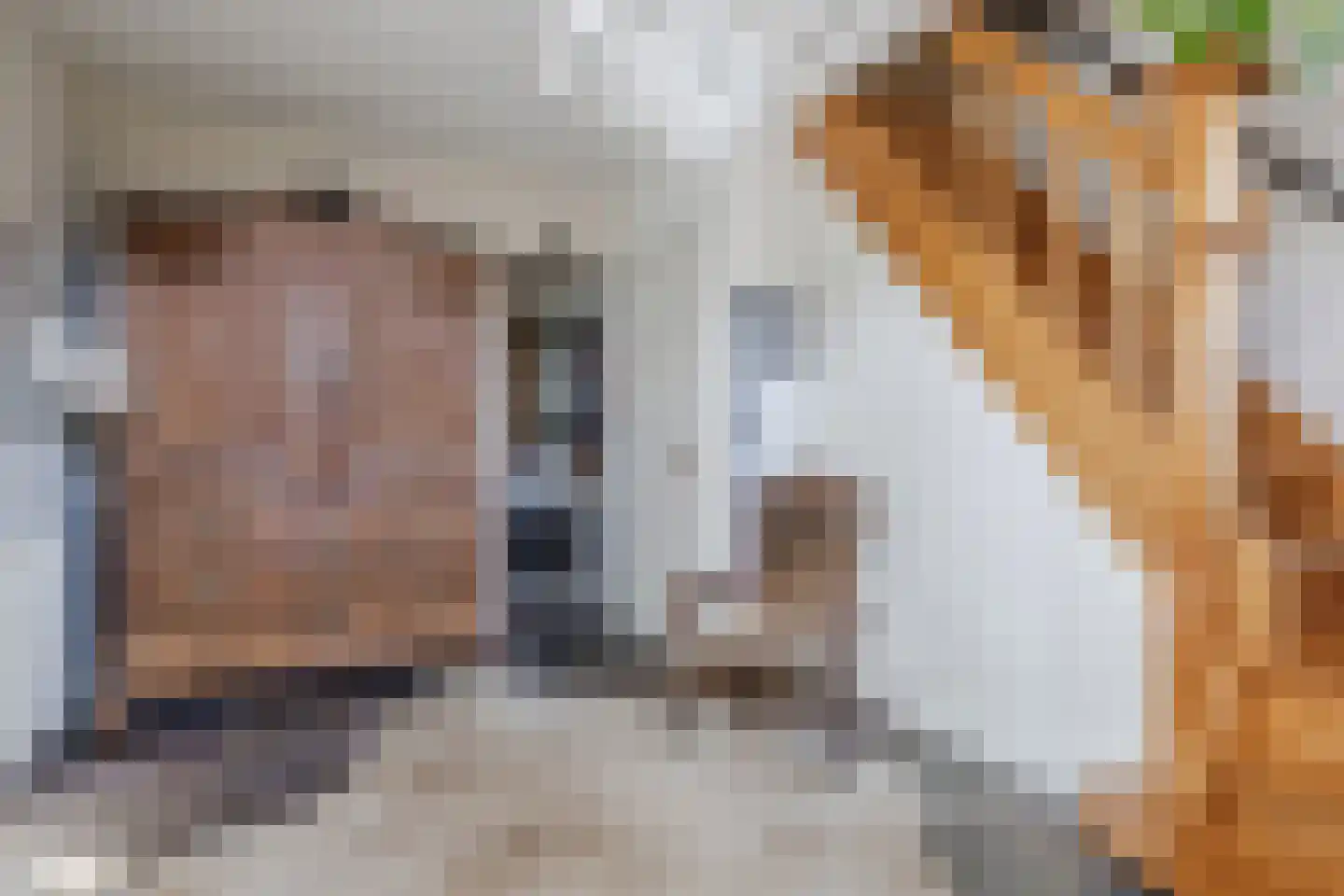 Hulstheuvel 6 Uden thumbnail 7