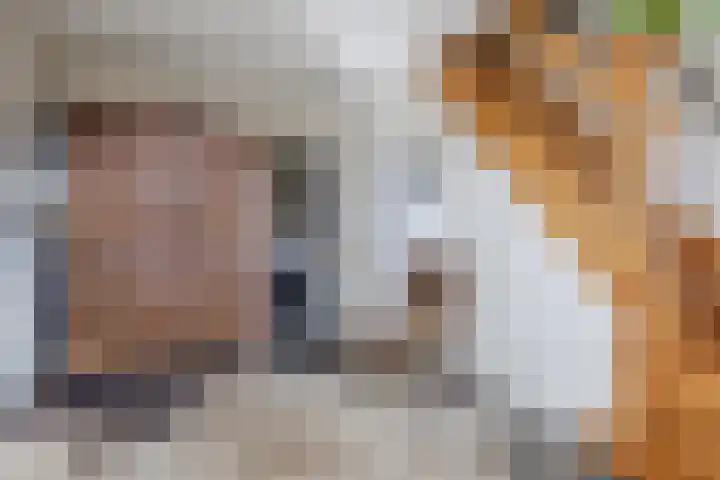 Hulstheuvel 6 Uden thumbnail 7