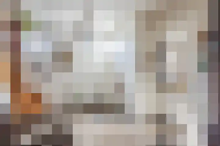 Hulstheuvel 6 Uden thumbnail 9