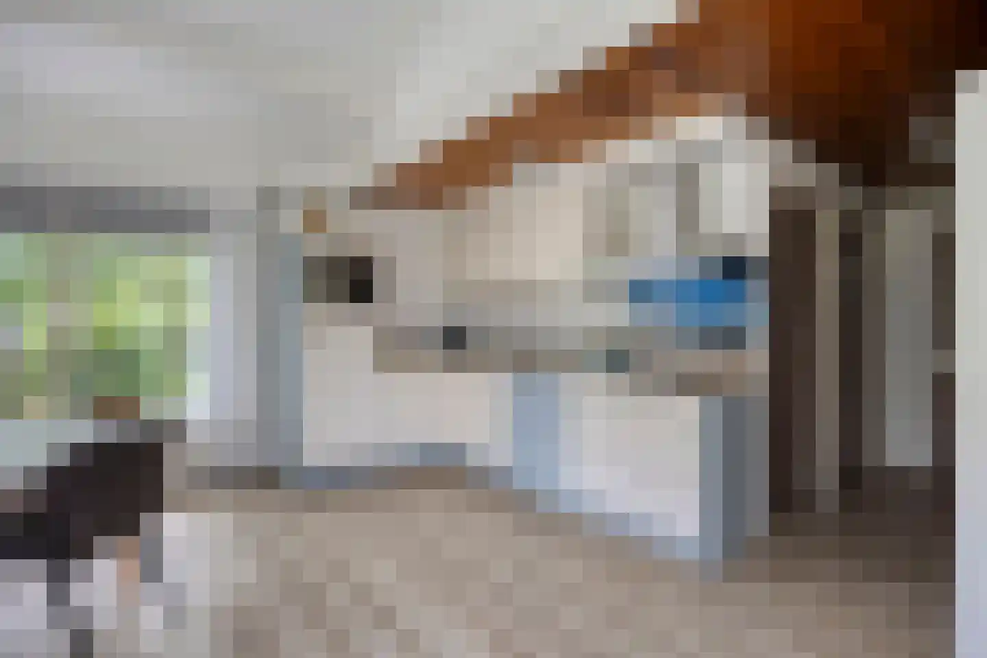 Hulsthof 13 Appelscha thumbnail 13
