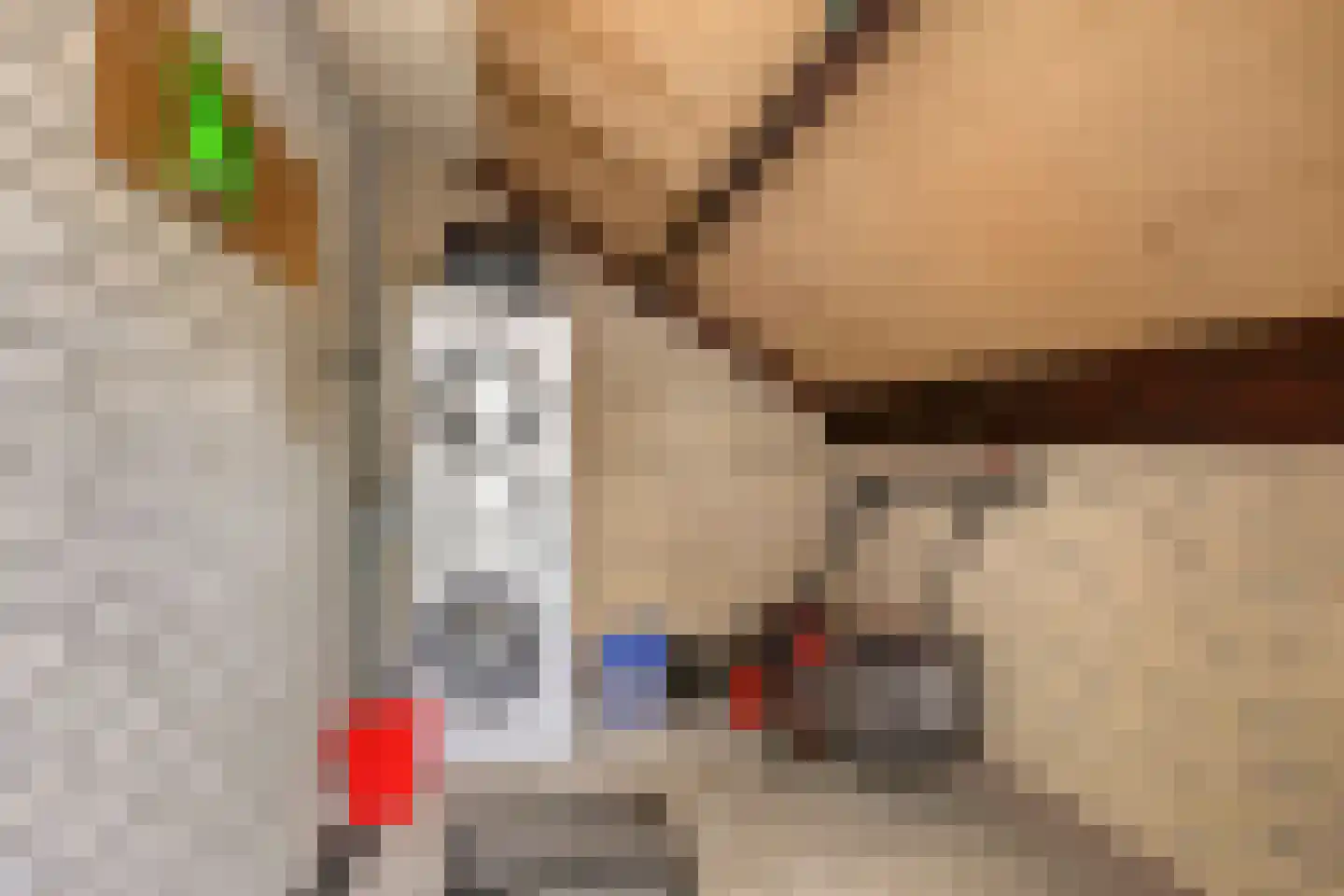 Hulsthof 13 Appelscha thumbnail 21
