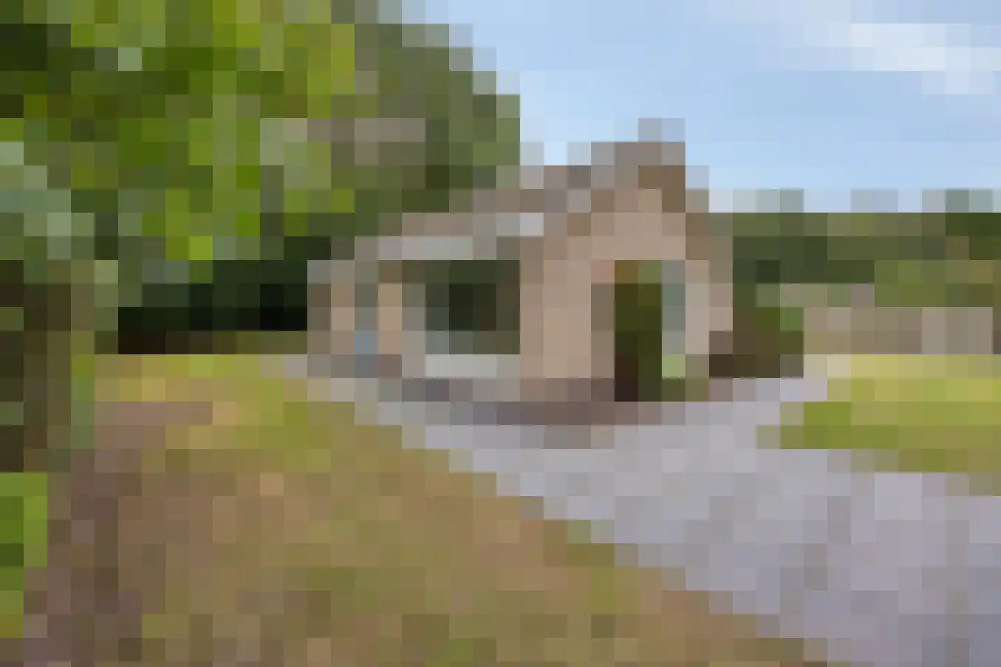 Hulsthof 13 Appelscha thumbnail 27