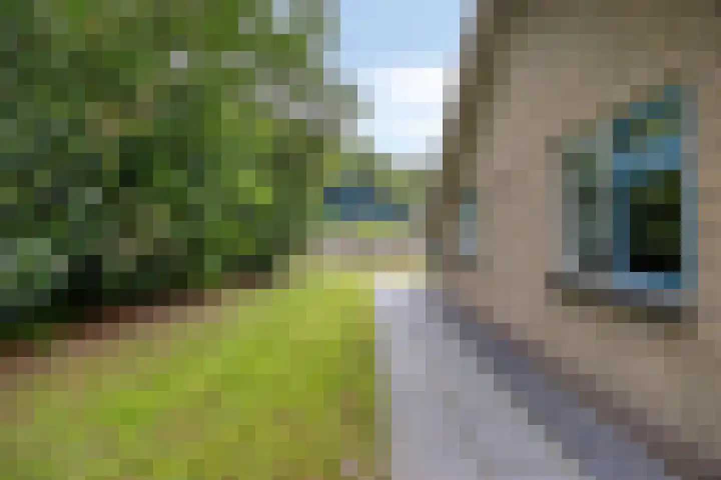 Hulsthof 13 Appelscha thumbnail 30
