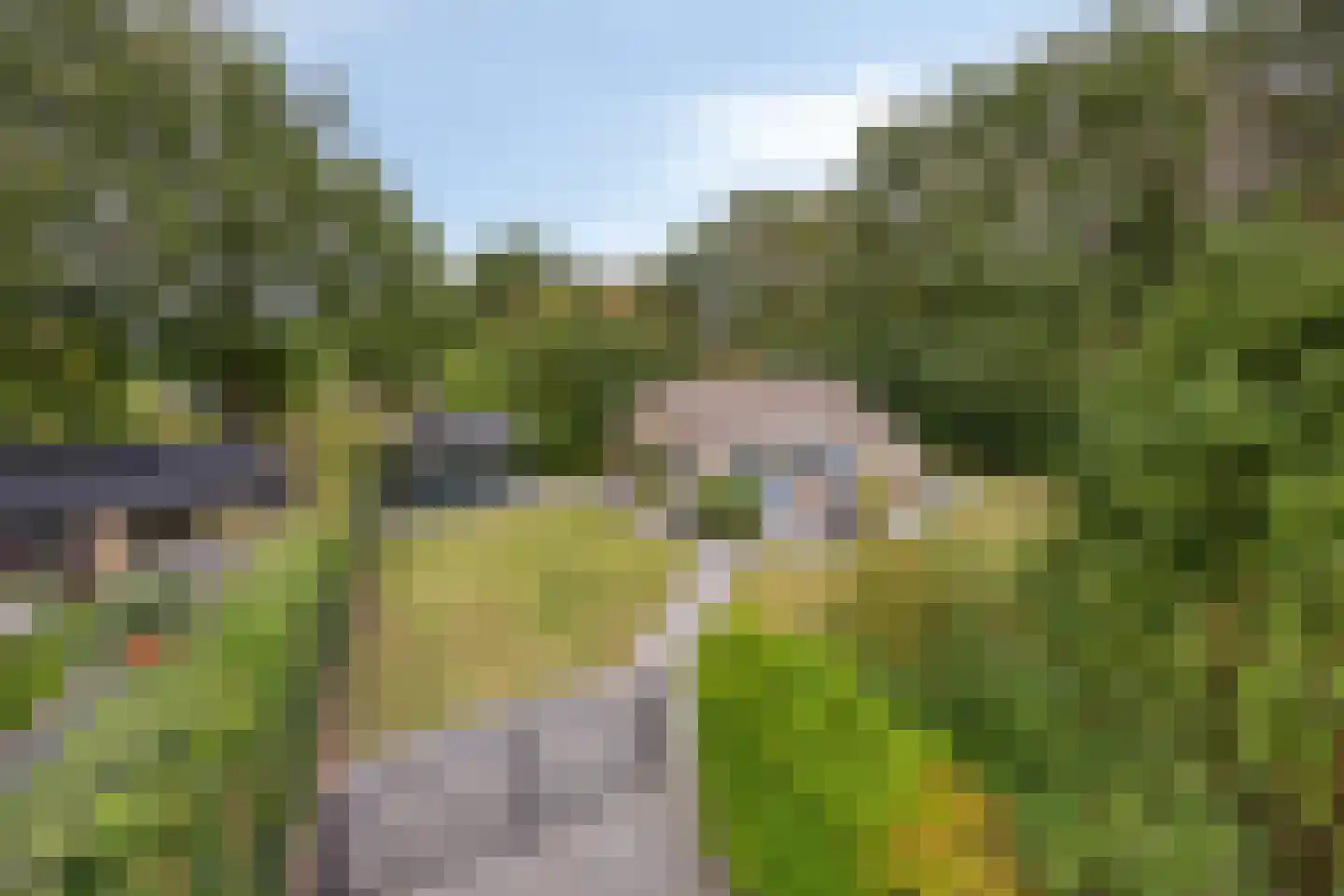 Hulsthof 13 Appelscha thumbnail 32