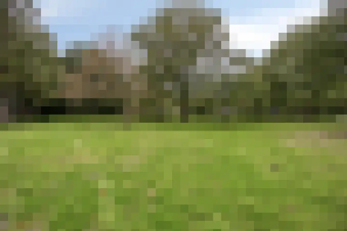 Hulsthof 13 Appelscha thumbnail 34