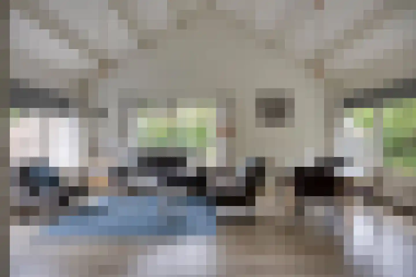 Hulsthof 13 Appelscha thumbnail 7