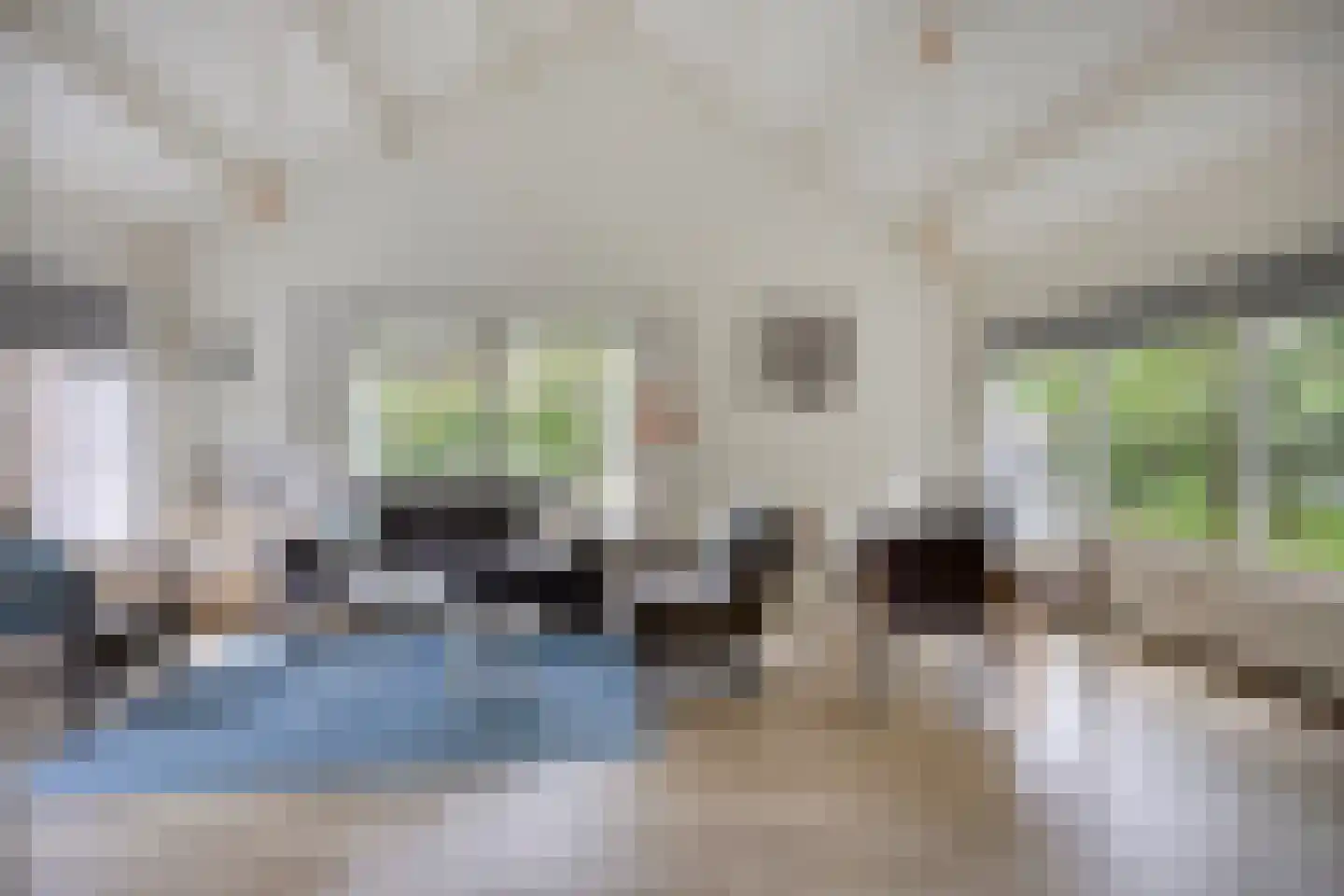 Hulsthof 13 Appelscha thumbnail 9