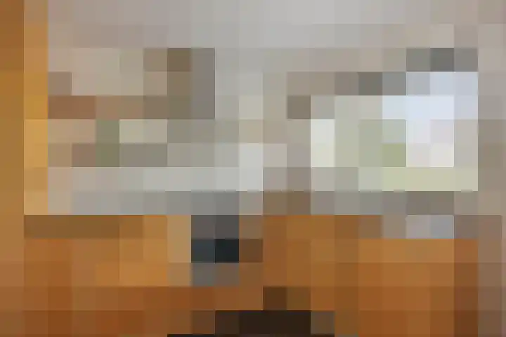 Hulsthof 25 Appelscha thumbnail 12