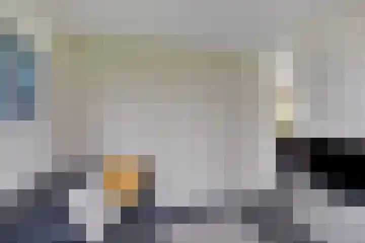 Hulsthof 25 Appelscha thumbnail 14