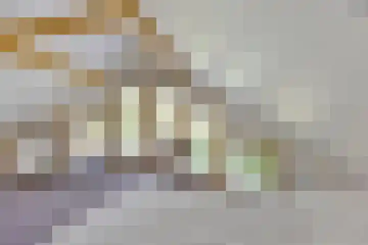 Hulsthof 25 Appelscha thumbnail 18