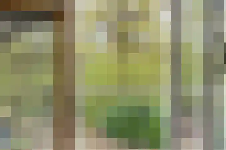 Hulsthof 25 Appelscha thumbnail 19