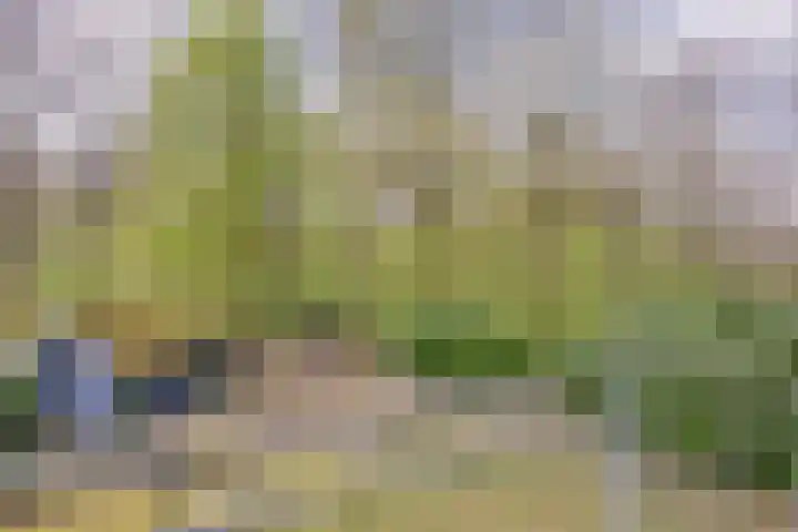 Hulsthof 25 Appelscha thumbnail 20