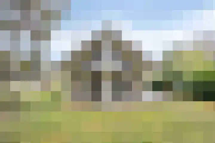 Hulsthof 25 Appelscha thumbnail 28