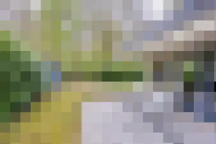 Hulsthof 25 Appelscha thumbnail 29