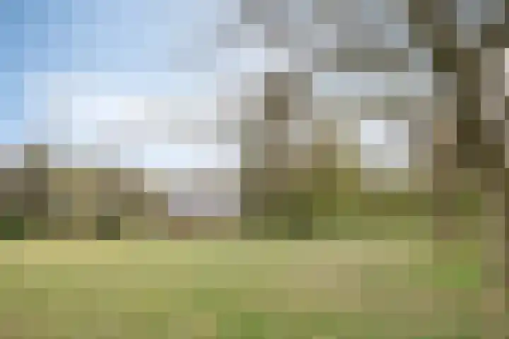 Hulsthof 25 Appelscha thumbnail 32